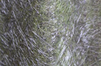 Lanjeth fibreglass roof work